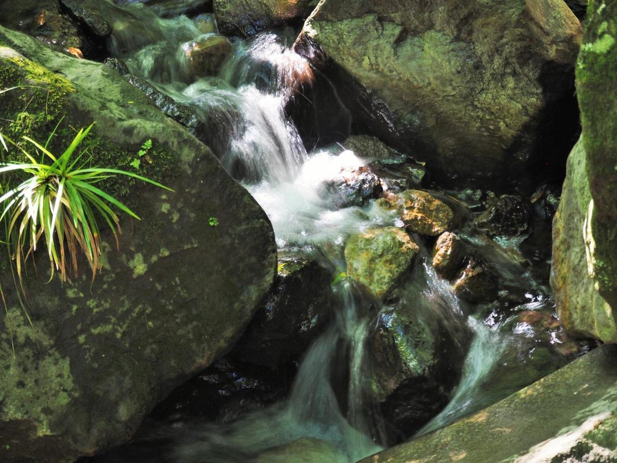 Suiun Otel Hakone Dış mekan fotoğraf